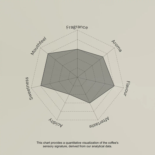 Radar chart evaluating coffee sensory attributes on a beige background