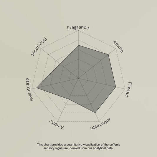 Radar chart evaluating coffee sensory attributes on a beige background