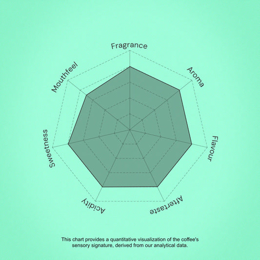 Coffee sensory profile chart with descriptors on a green background