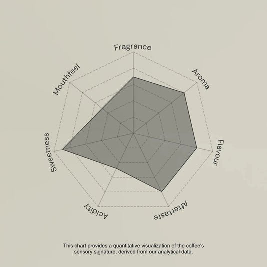 Eli Espinoza - Peru - Artefact Coffee Wholesale