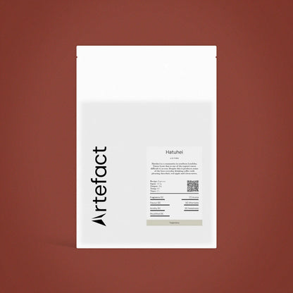 White product packaging with 'Artefact' branding on a brown background