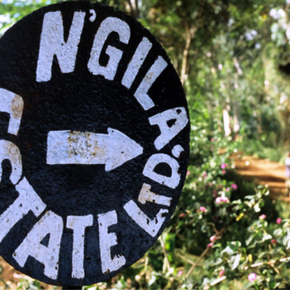 Ngila Estate Gesha - Tanzania