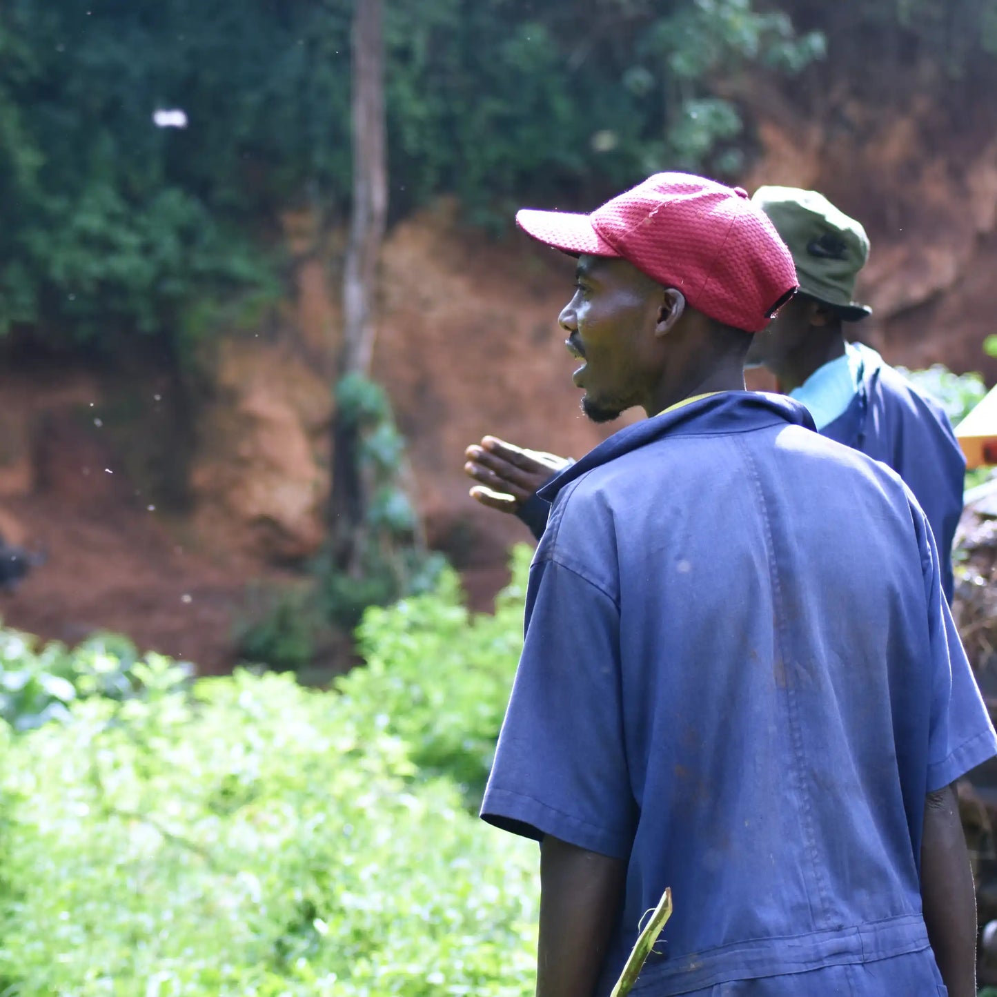 Ngila Estate Gesha - Tanzania