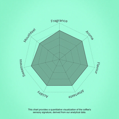 Coffee sensory profile chart with descriptors on a green background
