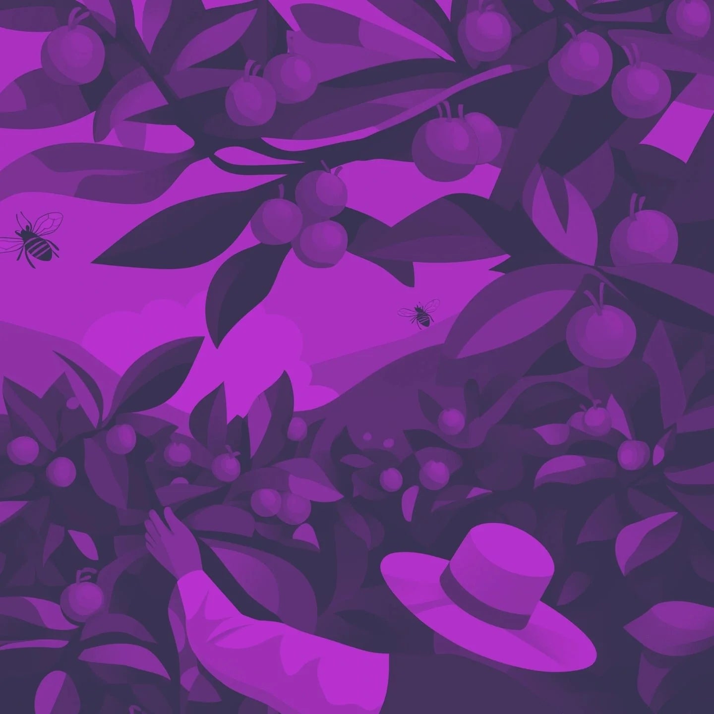 Eratoi - Timor Leste - KOTA Coffee